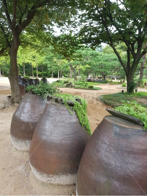 민속촌,항아리,정원꾸미기,자연,조경