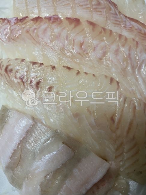 회,생선회,흰살생선,광어회,신선한,쫄깃한,생물,생선요리,먹다,식사,음식