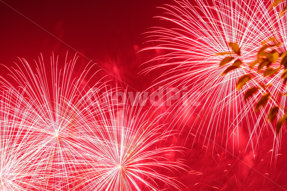 불꽃,야경,불꽃축제,풍경,축제