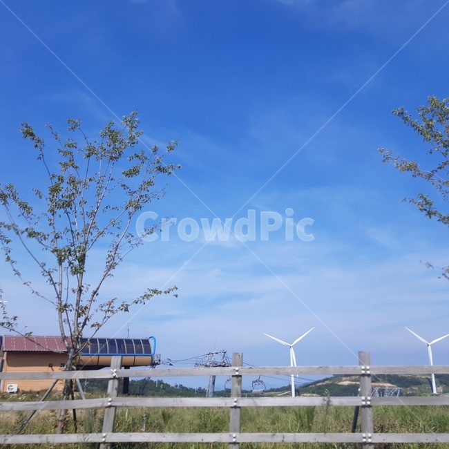 풍차,목장,하늘,풍력발전소,평화