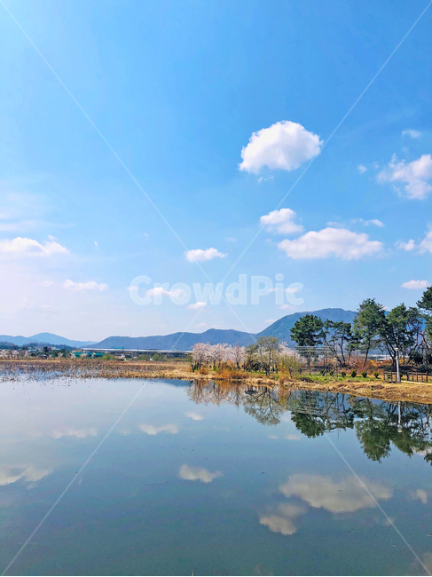 nature,자연,water,물,저수지,풍경,나무