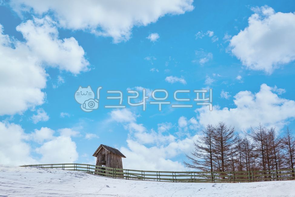 설경,겨울,하늘,구름,대관령,양떼목장,오두막,흰눈,겨울배경,눈풍경,겨울풍경,겨울이미지,나무,계절,들판,목책,실외,날씨,자연,풍경,shelter,snow,winter,nature,landscape,hut,tree
