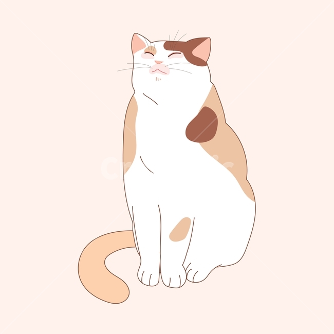 고양이,동물,일러스트,귀여운,손그림,라인,일러스트레이션,벡터,얼룩무늬,삼색,뚱뚱한,일광욕,포유류,mammal,고양이,cat,kitten,kitty,그래픽,일러스트레이션,graphic,illustration