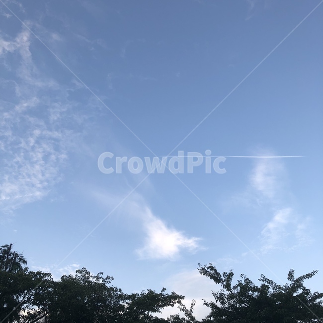 자연,하늘,구름,outdoors,sky,nature,비행기,초가을