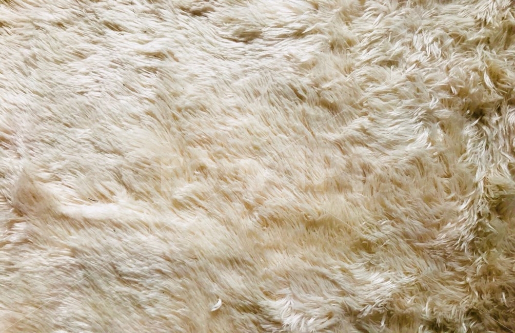 carpet,ibori,soft,smooth,color,카펫,부드러운,부드러움,촉감,색깔,아이보리,텍스처,질감,패턴,texture,pattern