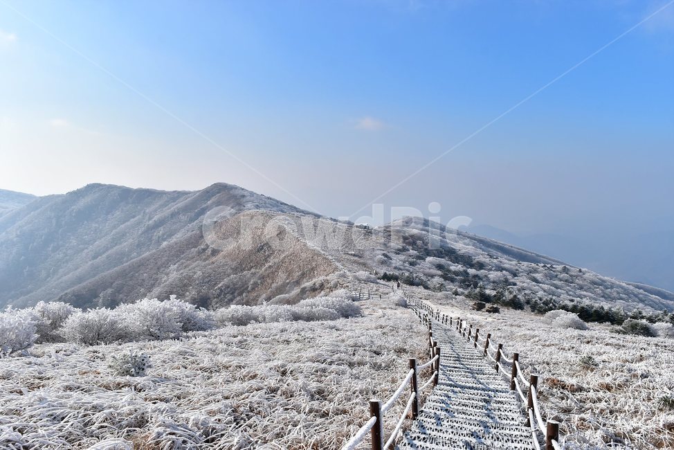 소백산,눈꽃풍경,상고대,겨울풍경,국립공원,겨울동화,힐링,감성,아름다움,뷰티풀,설국,눈풍경,파란하늘,100대명산,겨울명산,설경,서리꽃,snow,landscape,눈,화이트,자연,신비로운,경이로운,천상,비경,치유,산,명산,자연풍경,늦가을,영주,단양,풍기,희방사,삼가리,비로봉,겨울,계절,winter,season,자연,풍경,nature,landscape,한국자연풍경,한국자연경관,korea nature landscape,outdoors,옥외
