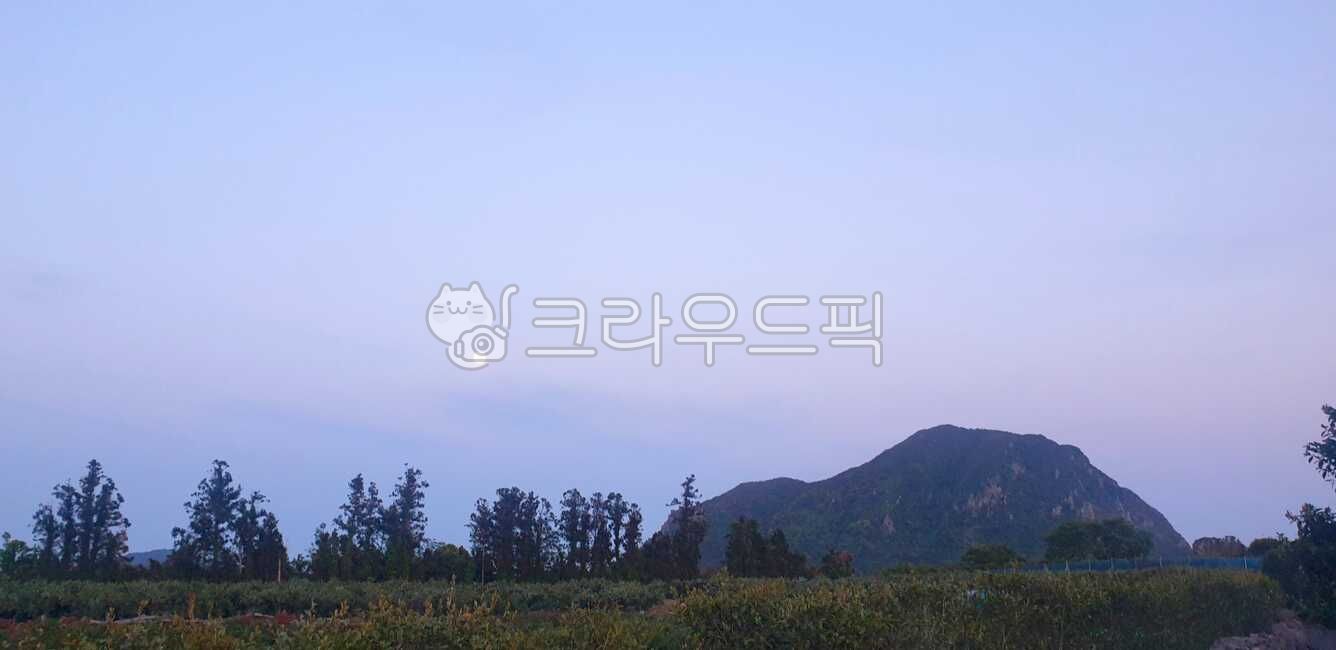 자연, 산, 달, 나무, 들판, 사진,이미지,일러스트,캘리그라피 - Npetaljh315작가