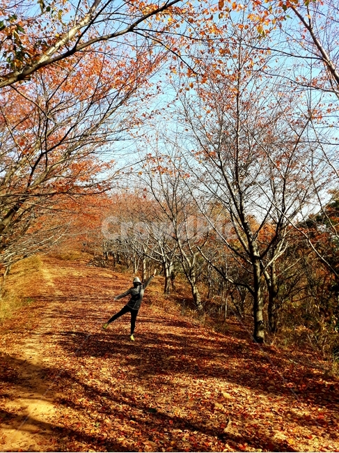 가을,등산,낙엽,낙엽길,가을등산