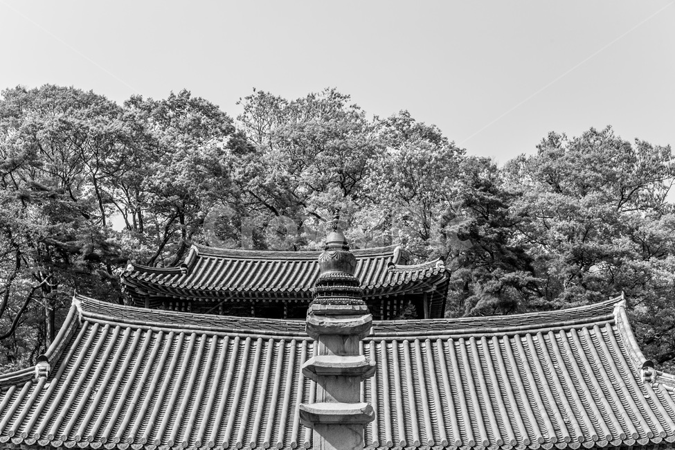 탑,기와,선,사찰,전통,문화유산,한국전통,한국문화,korean traditional,korean culture,종교,신앙,religion,belief,faith,흑백,모노톤,monochrome,black and white,건축물,건물외관,exterior,building,structure,architecture,construction