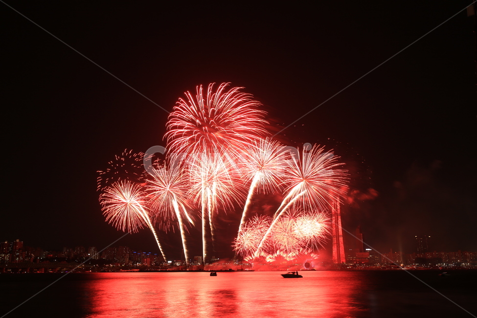 불꽃놀이,불꽃축제,여의도불꽃축제,세계불꽃축제,붉은나무,붉은하늘,야경,밤,풍경,nightscape,night,landscape,축제,행사,festival,carnival,event,nature,자연,outdoors,옥외