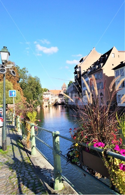 프랑스,스트라스부르,경치,풍경,자연,강가,꽃,들꽃,하늘,구름,france,strasbourg,scenery,nature,river,flower,sky,cloud,도시,풍경,city,landscape,해외,외국,세계,foreign,oversea,world,세계도시풍경,해외도시풍경,외국도시풍경,world cityscape,handrail,난간,banister,railing