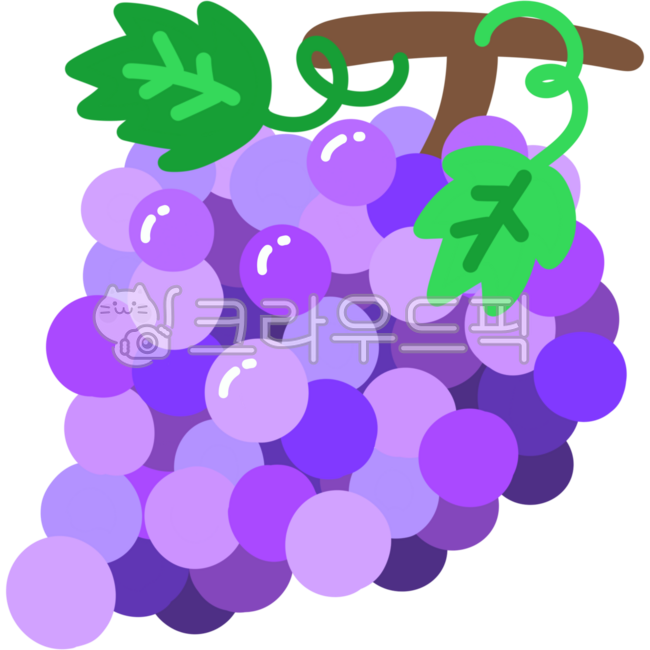 Fruit illustration,fruit,food,health,illustration,drawing,snack,illustration,illust,illustration,grape,picture,purple,grape,purple,violet