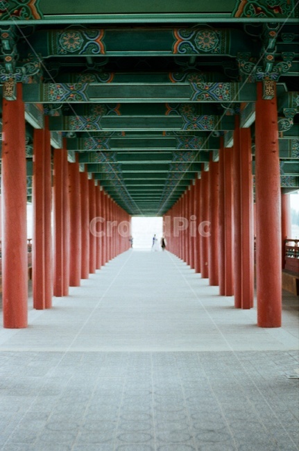 emotion,Film,tourist destination,old building,perspective,old palace,Gyeongju,film camera