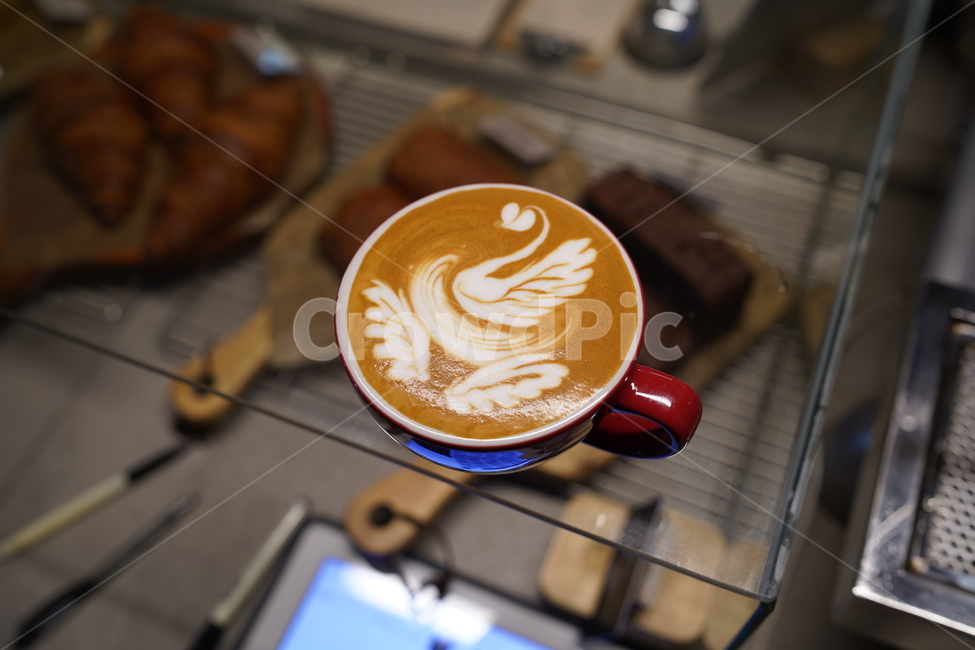 커피,카페라떼,라떼아트,coffee,cafelatte,latteart,백조,swan,음료수,drink,beverage,커피,카페,coffee,cafe