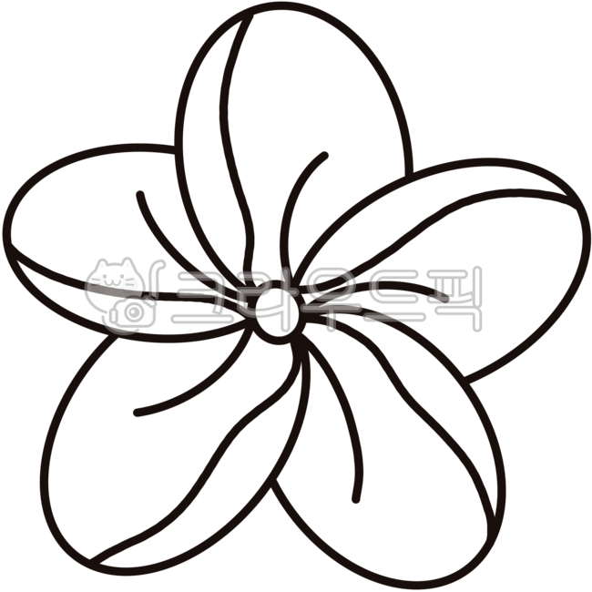 Flower,Nature,Plant,Spring Flowers,Summer Flowers,Garden,Gardening,Wildflowers,Ornamental Plants,Simple Flowers,Floral,Plant Illustration,Hawaiian Flowers,Botanical Garden,Horticulture,Flower Farm,Flower Boiler,Petal,Flower Line Art,Flo