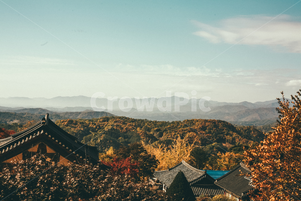 nature,자연,outdoors,옥외,landscape,경치,scenery,풍경,가을,단풍,가을,계절,fall,autumn,season