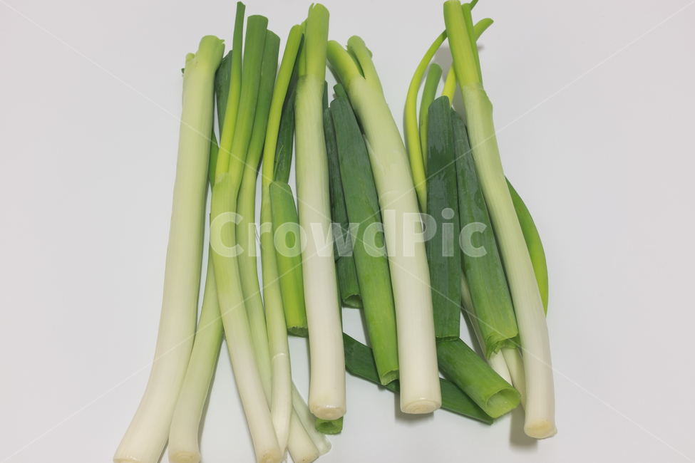 식품,식재료,초록색,식물,야채,채소,대파,줄기,손질,흰색,흰색배경,채소,야채,vegetables