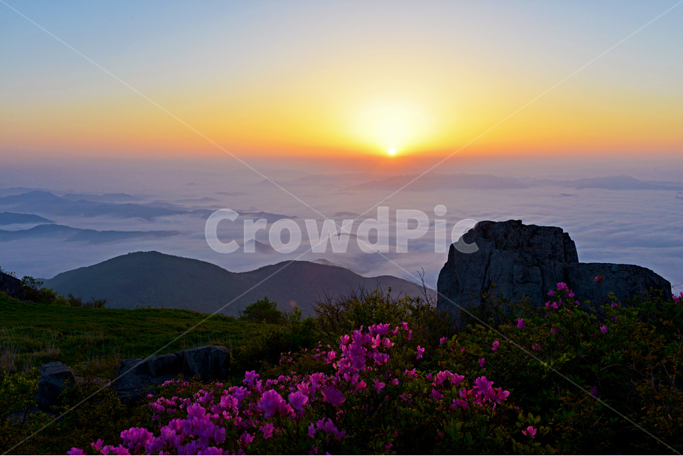 sky,하늘,redsky,붉은하늘,광주,무등산,누애봉,무등산아침,무등산일출,무등산철쭉,철쭉,해돋이,무등산해돋이,flare,플레어,light,빛,nature,자연,outdoors,옥외,자연,풍경,nature,landscape,한국자연풍경,한국자연경관,korea nature landscape,새해,new year
