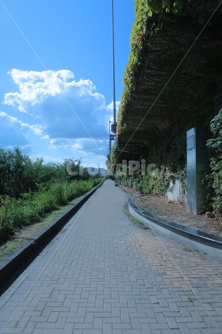길,하늘,산책,공원,가을,맑음,풍경,도시,풍경,city,landscape,한국도시풍경,한국도시경관,korea cityscape,path,통로,walkway,보도,road,도로
