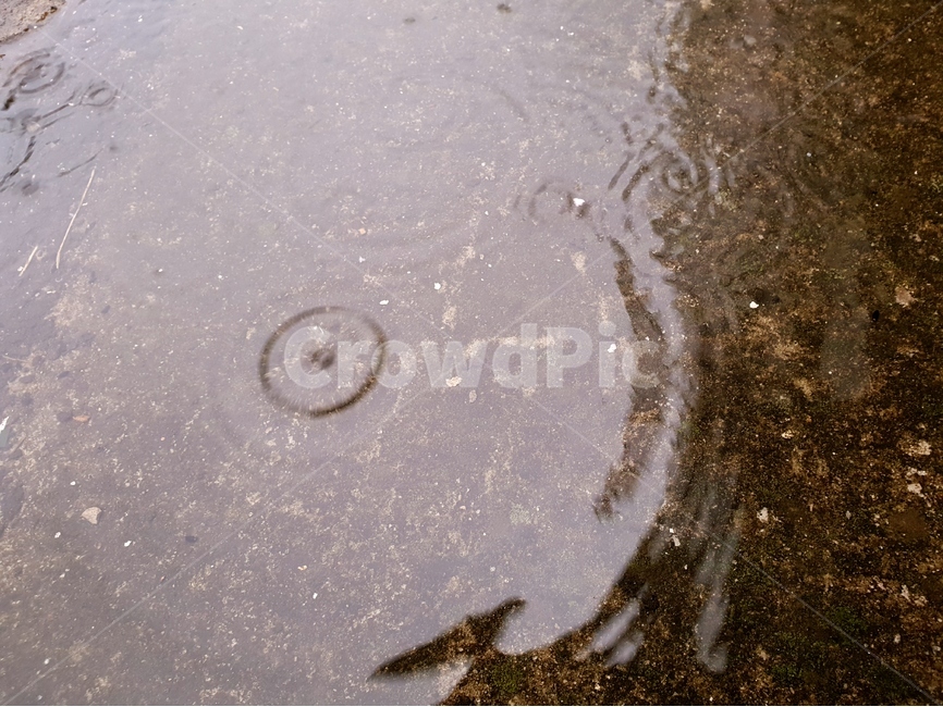 빗방울,물,빗물,패턴,배경,날씨,감정,비오는날,rain,raindrops,background,weather,pattern,비,비오는날,rain,rainy