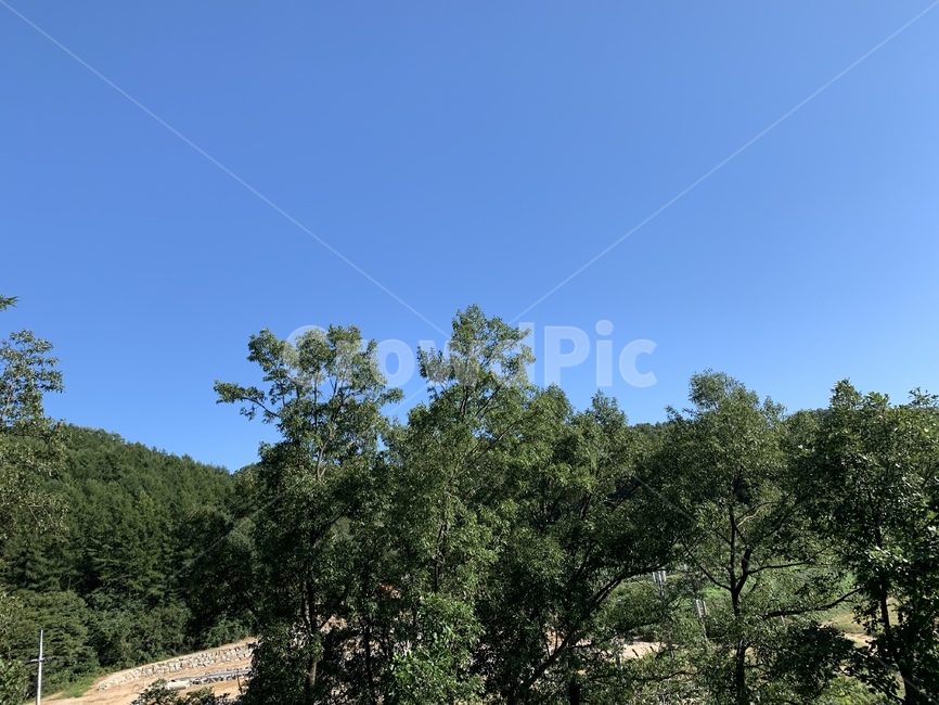 하늘,tree,나무,자연,outdoors,nature,자연,풍경,nature,landscape,옥외,plant,식물
