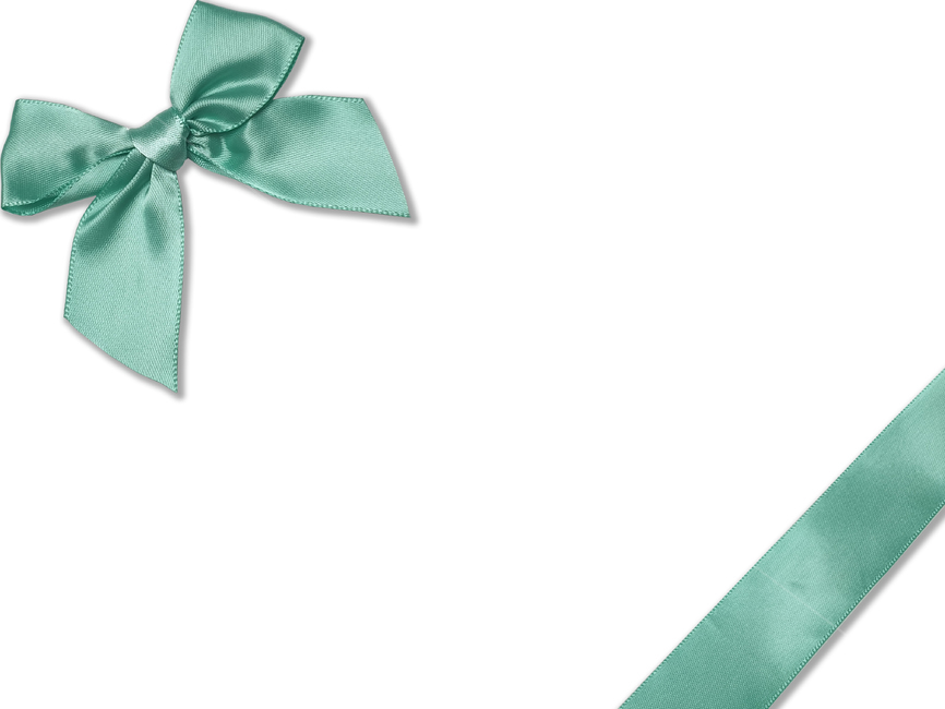 accessory,부속물,accessories,선물포장지,선물포장리본,리본,libbon,anniversary,기념일,celebration