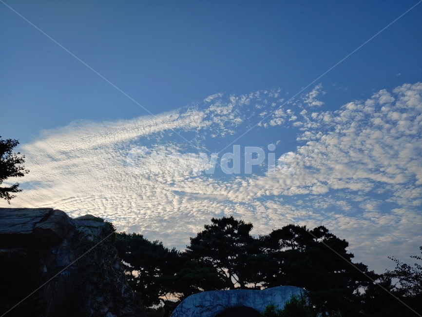 nature,자연,outdoors,옥외,sky,하늘,하트구름,구름하트