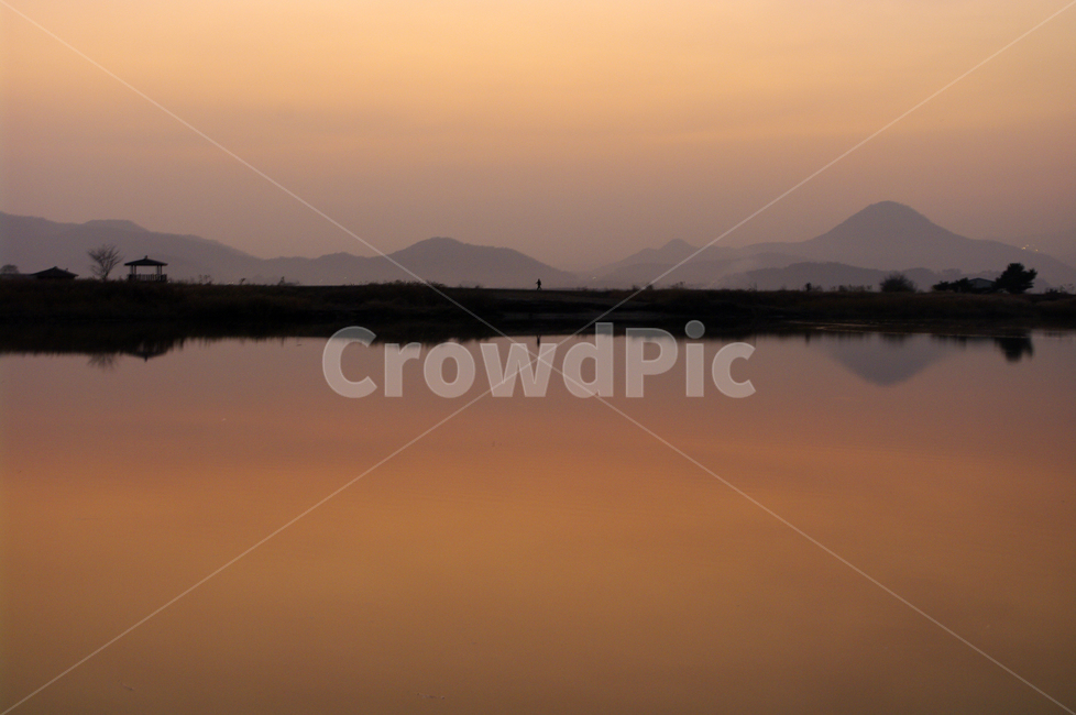 순천만,일몰,노을,풍경,갈대밭,강,하늘,그림자,자연,풍경,nature,landscape,water,물,outdoors,옥외