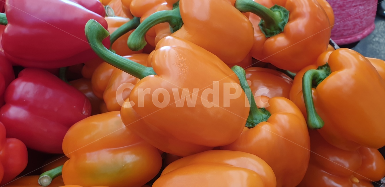 파프리카,채소,음식재료,food,vegetable,음식,주황색파프리카,주황색,음식,식재료,요리,food,cook,meal,dishes,food reserves,채소,야채,vegetables