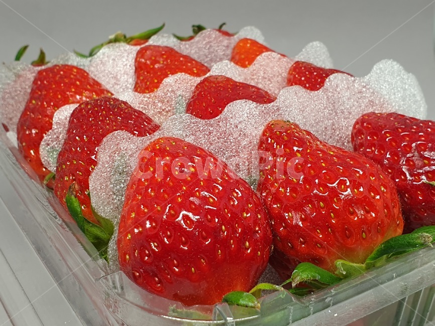 딸기,과일,strawberry,스트로우베리,스트로베리,fruit,프룻,후루츠,후르츠,상품,투명케이스,플라스틱케이스,식품,식자재,식재료,사물,오브젝트,object