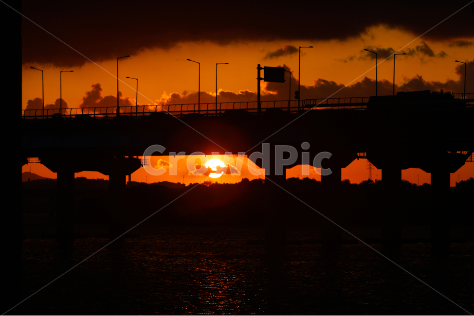 마포대교,서울,노을,한강,나무,sunset,태양