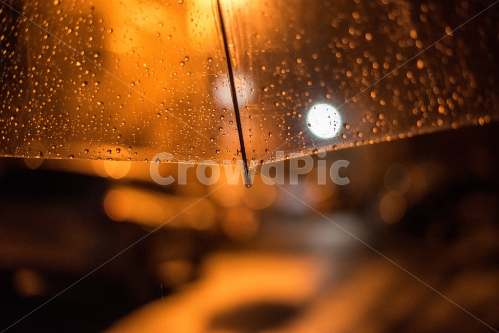 겨울비,야경,우산,비,저녁,야경,밤,풍경,nightscape,night,landscape,감성,sensible,feeling,비,비오는날,rain,rainy,flare,플레어,light,빛
