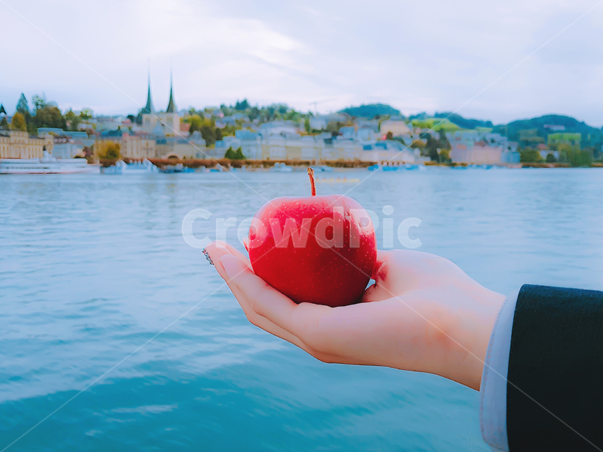 사과,음식,인물,식재료,요리,열매,fruit,food,cook,meal,dishes,foodreserves,스위스,유럽,자연,해외,reavel,과일,신체일부,몸,body
