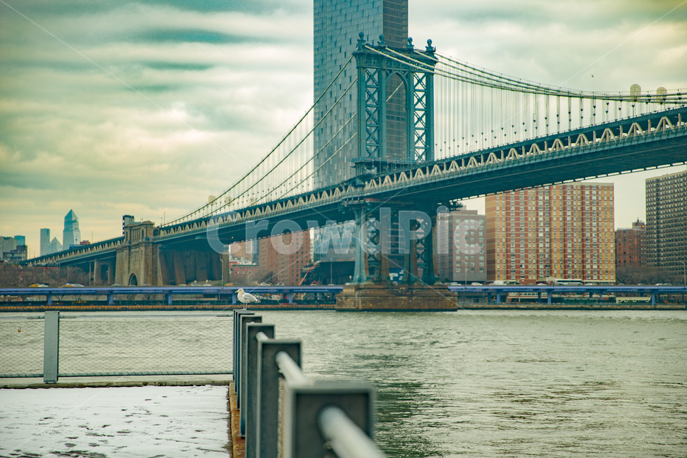 america,american,bird,bridge,brooklyn,building,city,cityscape,downtown,gull,landmark,manhattan,newyork,ny,nyc,river,seagull,tourism,urban,usa,water,미국,뉴욕,다리,대교,브릿지,새,도시,흐림,강,도시,풍경,city,landscape,해외,외국,세계,foreign,oversea,world,세계도시풍경,해외도시풍경,외국도시풍경,world cityscape