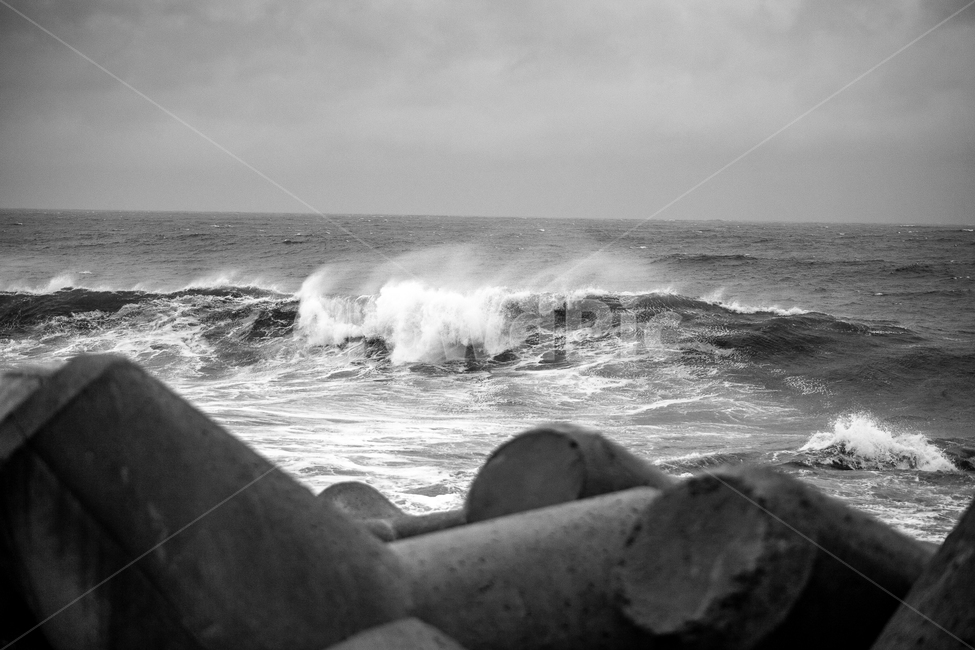 파도,태풍,흑백,바다,백파,흑백사진,높은파도,자연,풍경,nature,landscape,흑백,모노톤,monochrome,black and white,ocean,대양,water,물,sea,outdoors,옥외