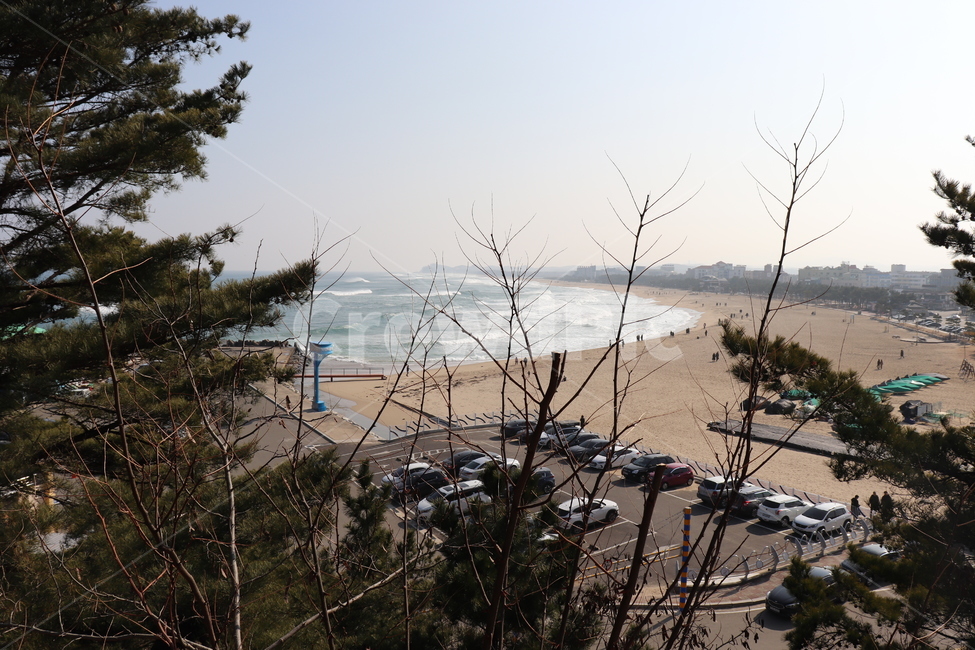 soil,흙,nature,자연,outdoors,모래언덕,dune,모래,sand,옥외,바다,하늘,sky,ocean,sea,나무,tree,beach,해변,풍경