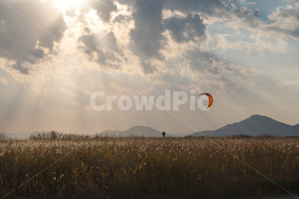 빛,빛무림,갈대,태양,패러글라이딩,가을,매직아워,구름,빛갈라짐,sunset,magichour,sunrise,fall,paragliding