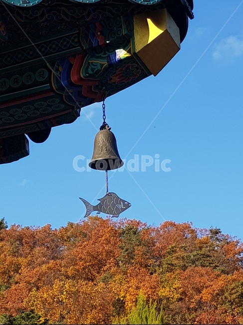 탑,건축물,종탑,건물,종