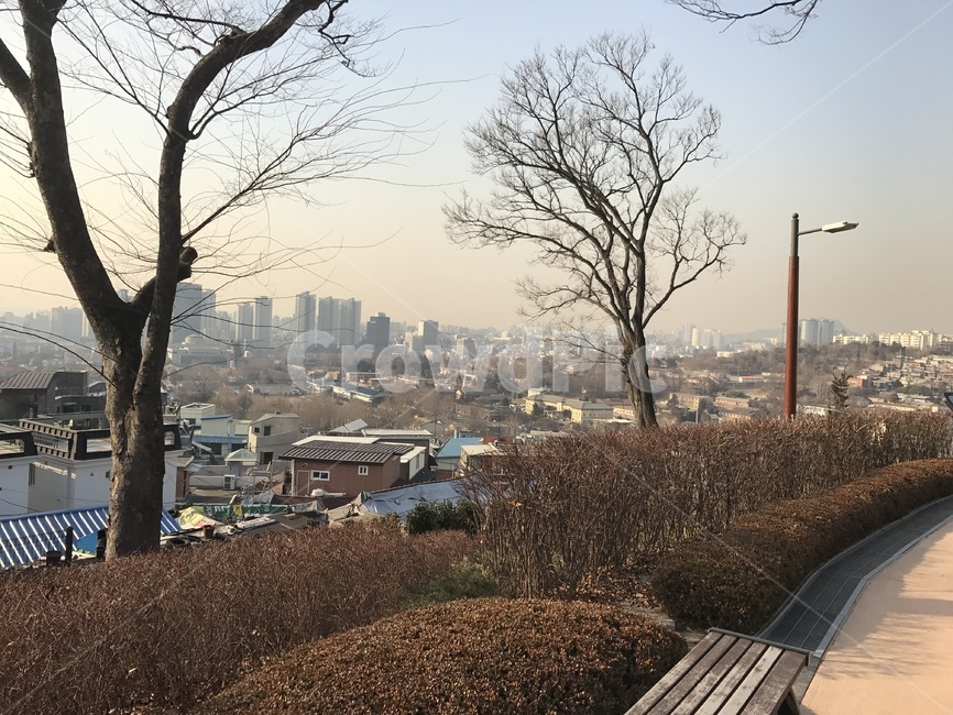 도시풍경,초봄,미세먼지,가로등,도시
