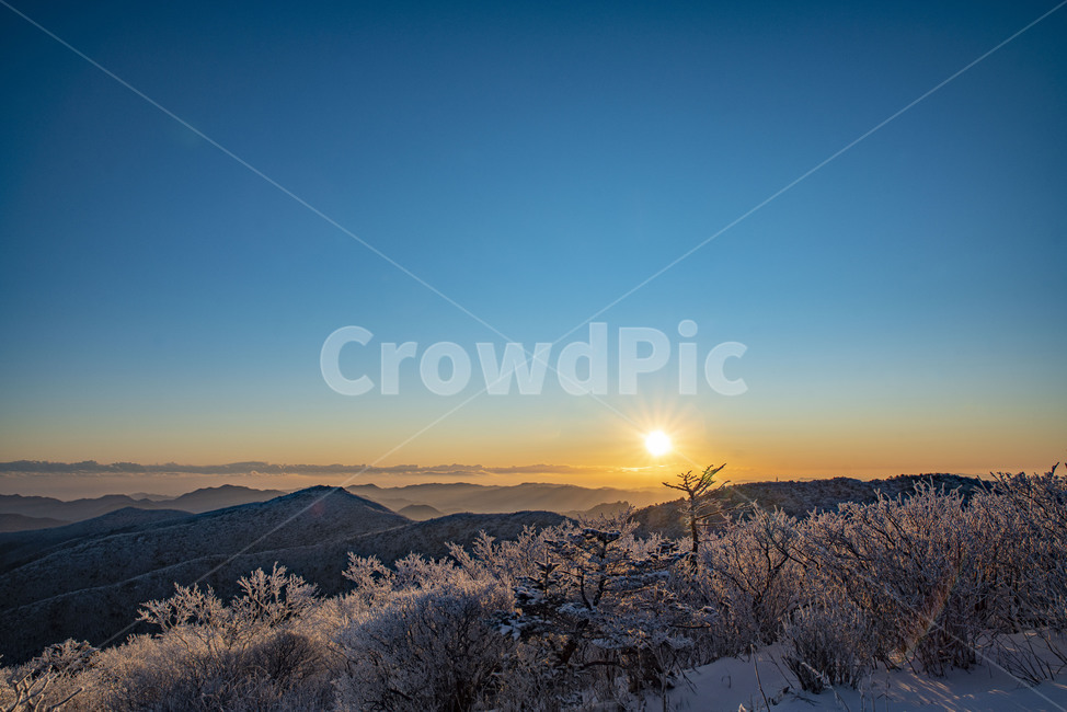 태백산,일출,설산,상고대,해돋이,겨울산,산,아침,해,겨울,눈꽃,자연,nature,겨울,계절,winter,season,자연,풍경,nature,landscape,새해,new year