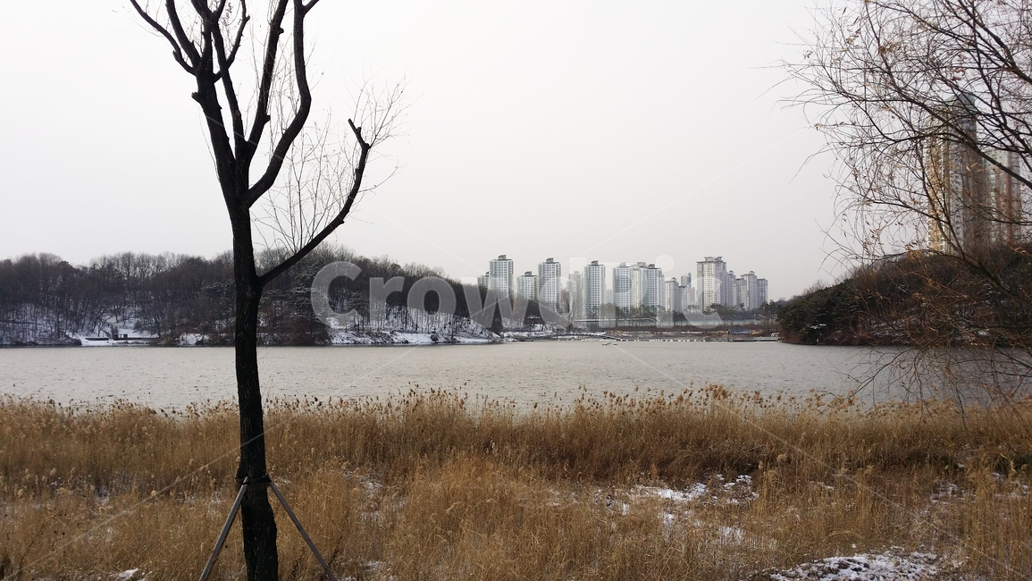 겨울,눈,호수,공원,lake