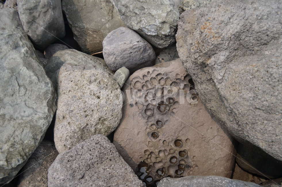돌,바위,stone,pebble,rock