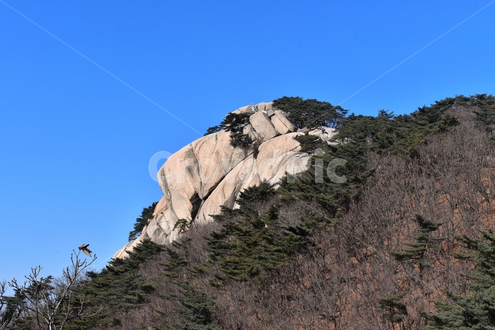 사패산,풍경,겨울,자연,눈,스포츠,선바위,보루,국립공원,회룡바위,갓바위,등산,산행,nature,snow,겨울풍경,느낌,아름다운,신비로운,경이로운,기암,바위,암봉,암릉,다큐,필,힐링,명산,landscape,winter,season,트레킹,100대명산,인기명산,조망,전망,바윗길,암릉길,명품송,소나무,한국자연풍경,한국자연경관,korea,북한산국립공원,Korea,National,Park,원도봉,겨울,계절,winter,season,자연,풍경,nature,landscape,한국자연풍경,한국자연경관,korea nature landscape,outdoors,옥외,cliff,낭떠러지