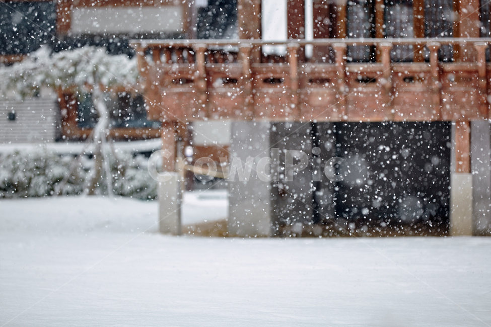 전통주택,툇마루,눈,함박눈,겨울,겨울,계절,winter,season,한국전통,한국문화,korean traditional,korean culture,건축물,건물외관,exterior,building,structure,architecture,construction