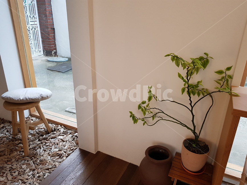 wood,flooring,hardwood,vase,pottery,plant,나무,바닥,견목,병장식,도기류,미술,art,식물,ikebana,flower,꽃,항아리,ornament,장식,꽃꽂이,blossom,인테리어,실내디자인,interior design
