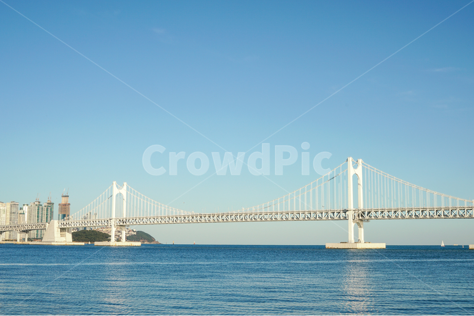 바다,부산,광안대교,다리,교각,교통,파도,물,자연,넓은,시원한,푸른,파란,파랑,ocean,sea,busan,gwanganbridge,bridge,transportation,waves,water,nature,wide,cool,blue,광안리,아파트,건물,럭셔리,부유한,빌딩,도시,apartment,building,luxury,city,도시,풍경,city,landscape,한국도시풍경,한국도시경관,korea cityscape,랜드마크,landmark,tourist attraction,한국랜드마크,한국관광지,한국명소,korea landmark,korea tourist attraction