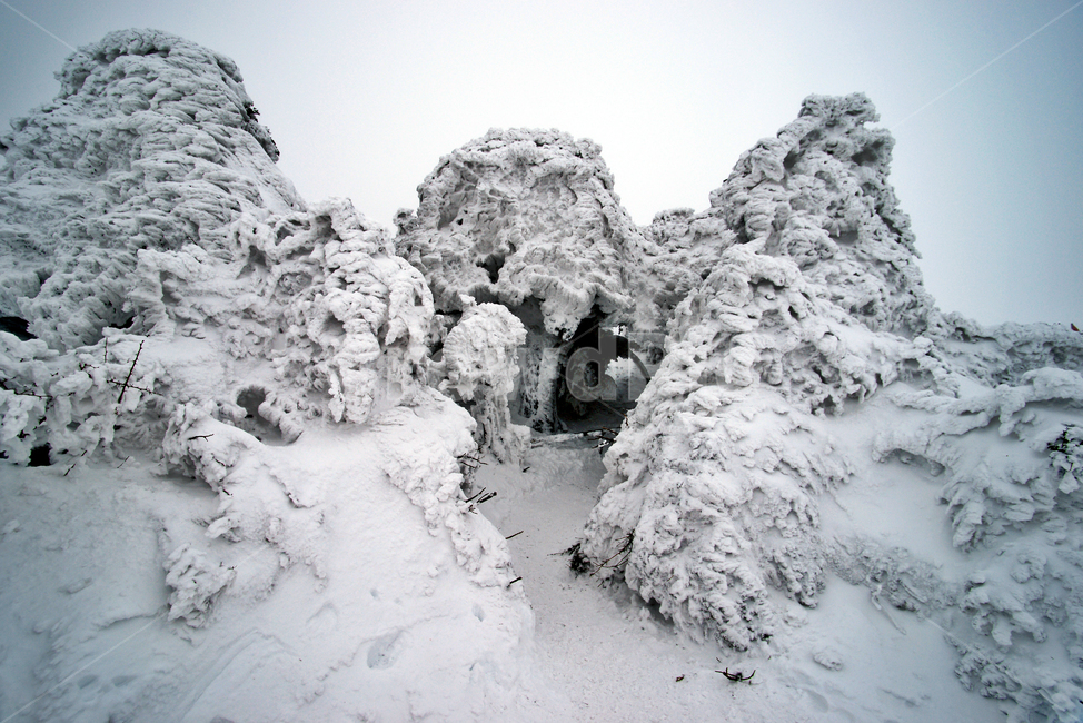 한라산,제주도,영실코스,설경,설화,겨울,안개,겨울,계절,winter,season
