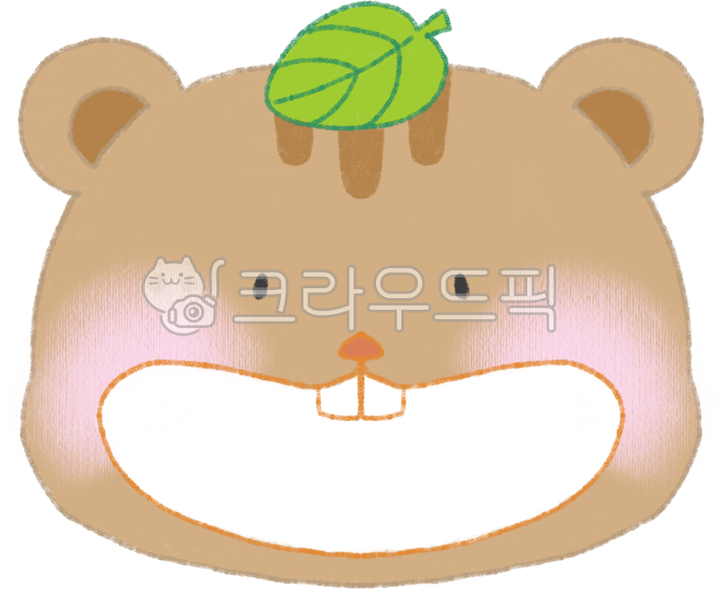 squirrel,animal face,animal,cute