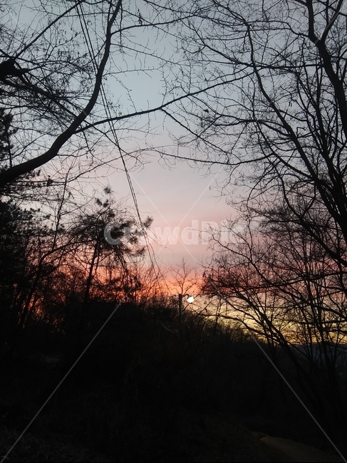 하늘,자연,sky,풍경,노을,자연,풍경,nature,landscape