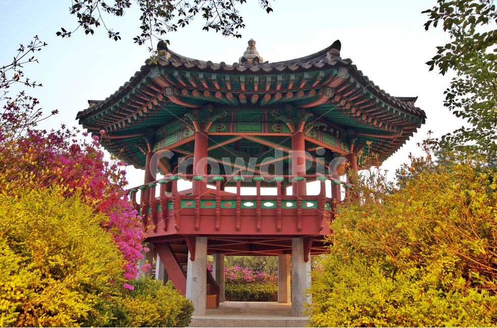 매봉산정,정자,누각,매봉산,쉼터,옥수동,한국전통,한국문화,korean traditional,korean culture,건축물,건물외관,exterior,building,structure,architecture,construction